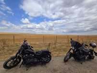Harley Davidson Street Bob FXBB 2020