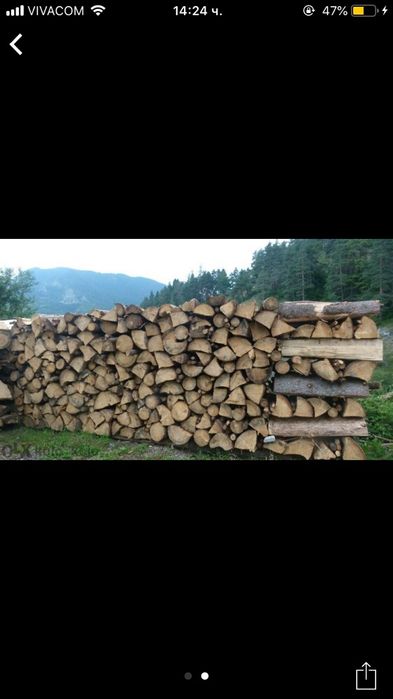 Рязане на дърва. Почистване на дворове