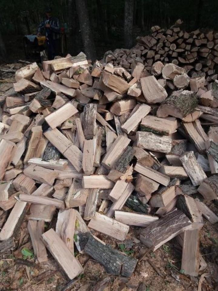 Vând lemne de foc sau schimb uscate și verzi