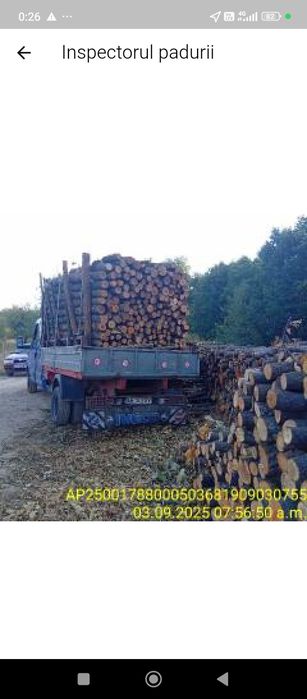 Lemn de foc stejar salcâm fag 550 lei metru aduse la domiciliu