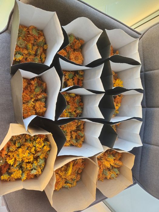 Vând 800 grame flori uscate de galbenele(Calendula officinalis)