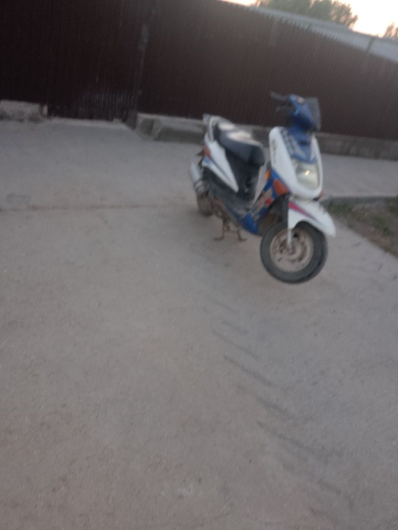 Schimb scuter 4 timpi