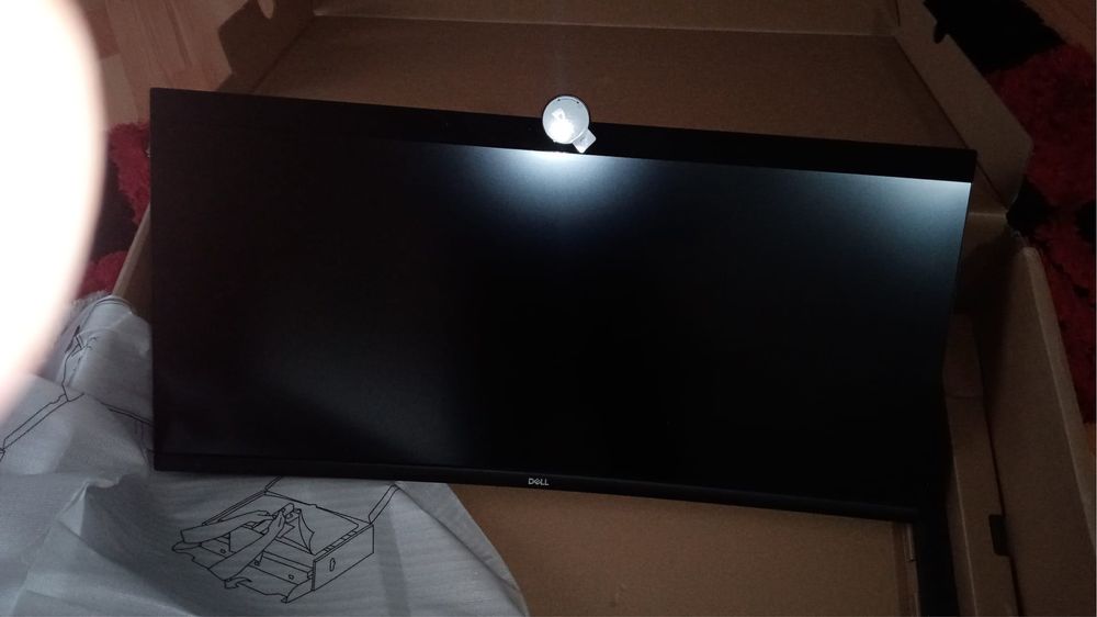 Monitor DELL curbat