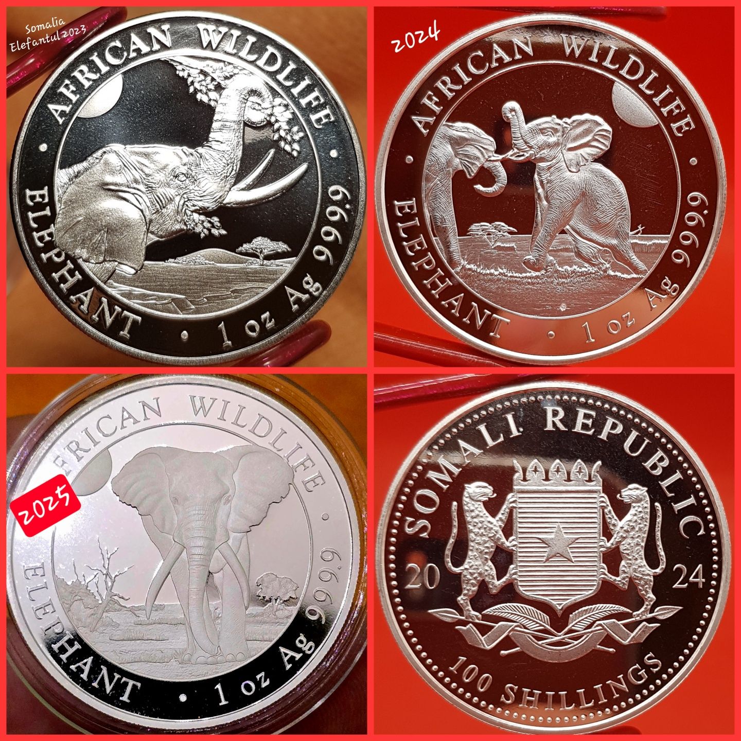 Somalia Elefantul si Leopardul 2011-2025 monede lingou argint 999