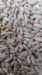 Vand triticale calitate foarte buna anul de productie 2025