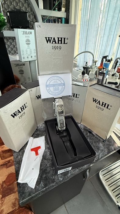 Wahl 1919 100year