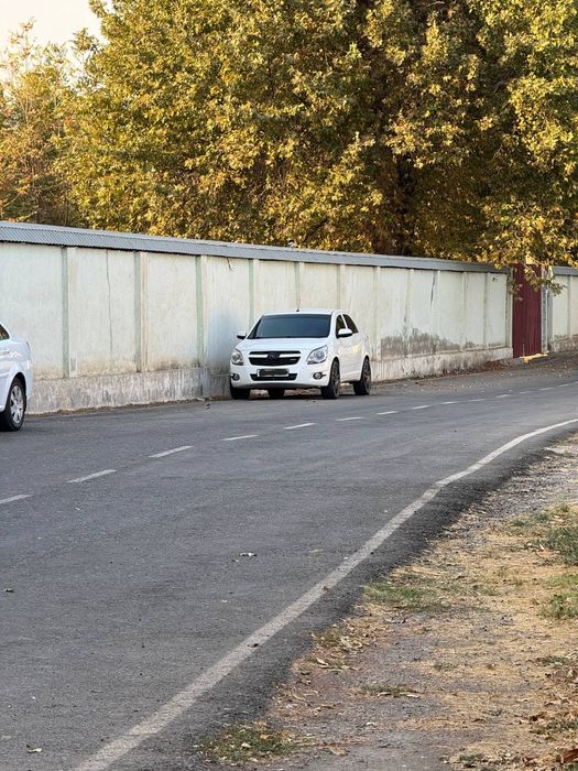 Cobolt White 2023 yil sotiladi