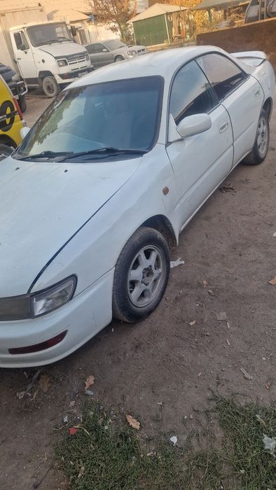 Карина ед продам