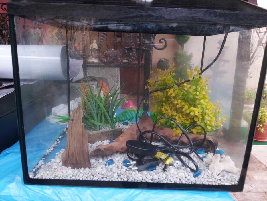 Vand acvariu pentru pesti