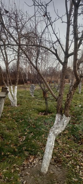 Продаётся дача за понтонным мостом С.О. Черемушки выходом на протоку