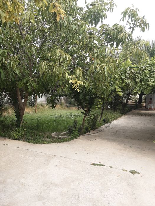 Участок с домом в пригороде Ташкента 21 сотка