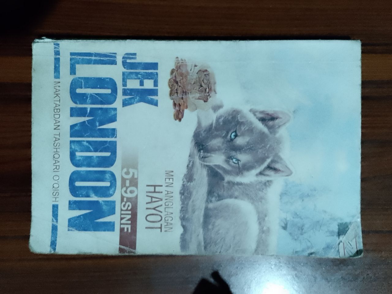 Psixologik va klassik adabiyot namunalari
