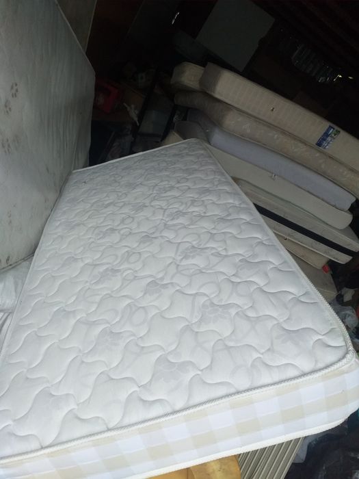 Vand saltele orice dimesine