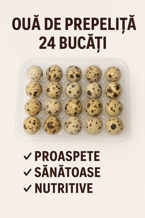 Ouă de Prepeliță – 24 Bucăți – Proaspete, Sănătoase și Nutritive