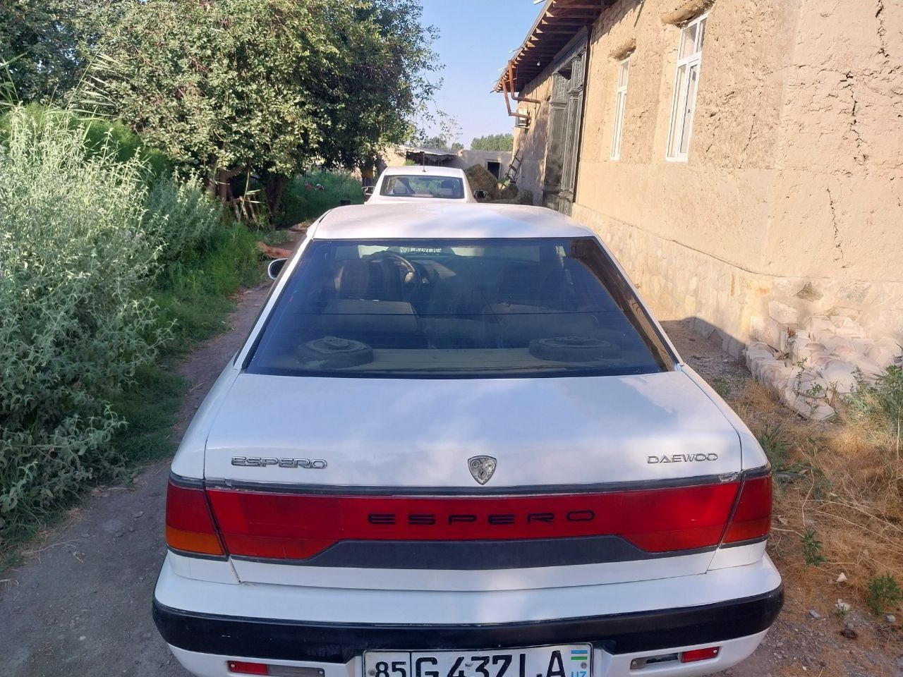 esperro 1996 yil