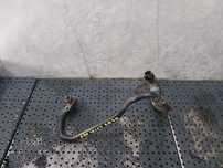 Conducta furtun apa 2.0 tdi audi a4 b9 8w 04l121065cf