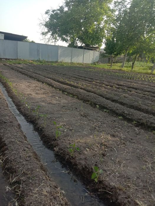 4 sotix yer sotiladi 33000$