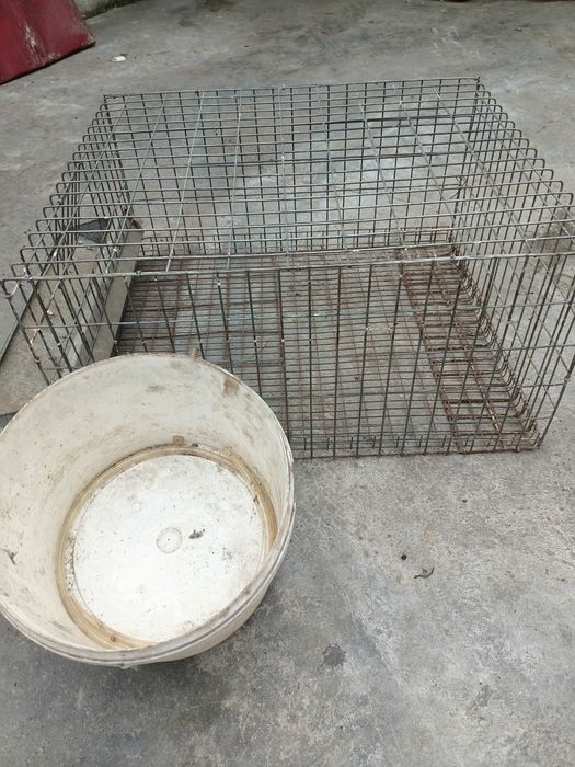 cușcă prepelițe cu adăpător