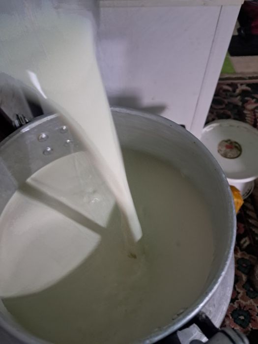 Молоко продам 400 тенге за лектор адрес дөтентаиева 36 / 1