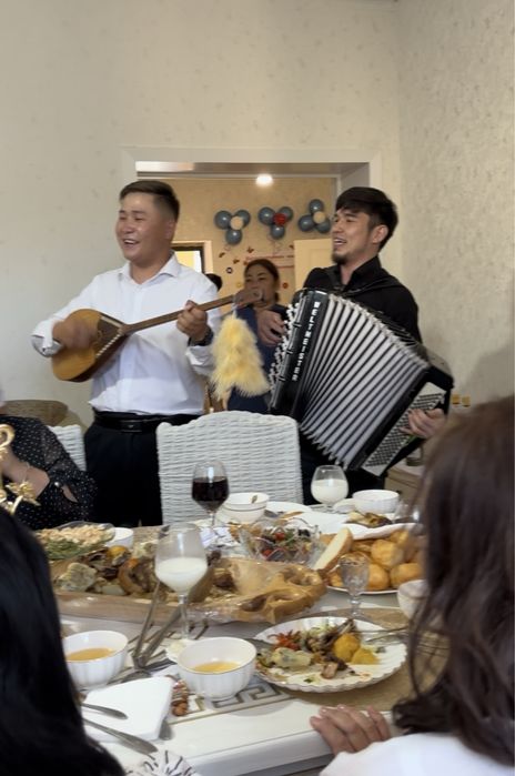 Домбра баян  гиттара  Әнші  музикант