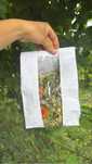 Plante ceai 80 grame 10 lei
