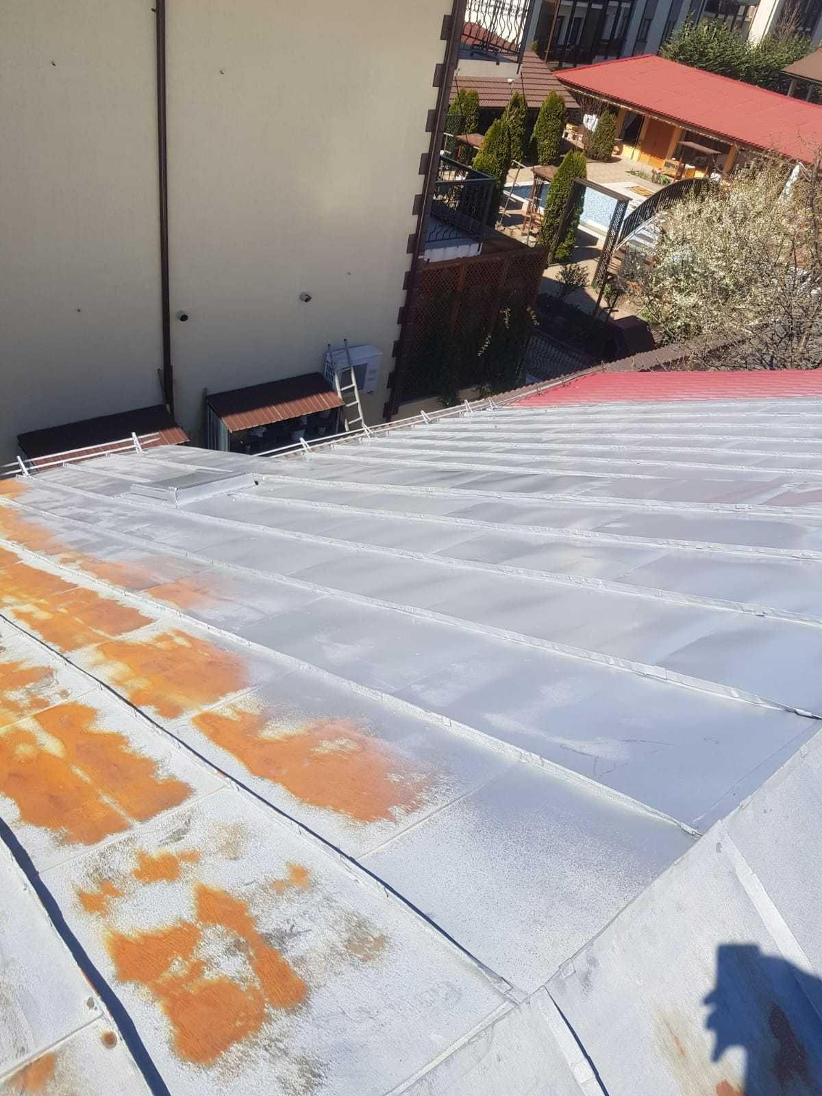 Vopsim orice tip de tabla pe casa, garduri, porti si alte suprafete
