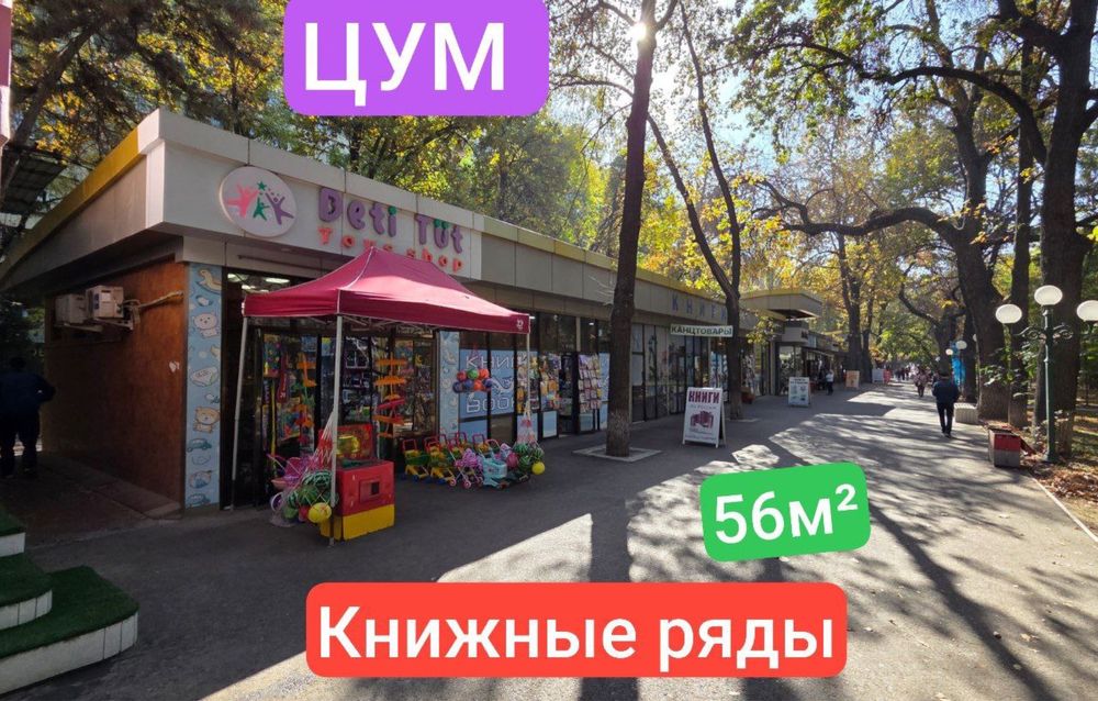ЦУМ Книжные Ряды | 56кв - нежилое помещение вдоль дороги Продажа