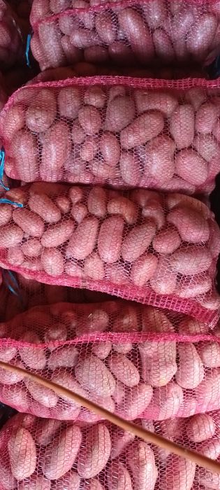 Cartofi consum  albi si rosii