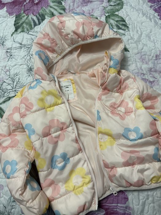 Gecute de toamna