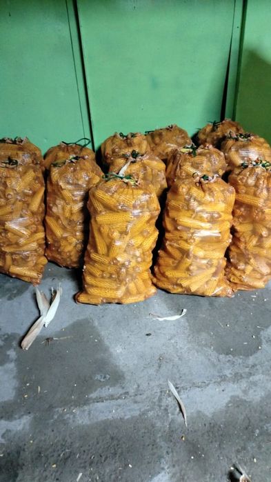 Кукуруза жүгері сатылады