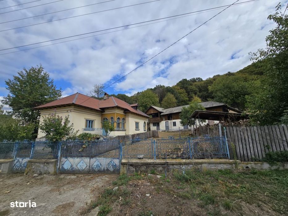 Casa si teren 5.000 mp, Stroesti