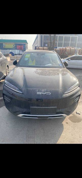 BYD Champion Qora