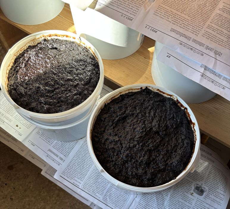 Magiun de prune (silvoita)