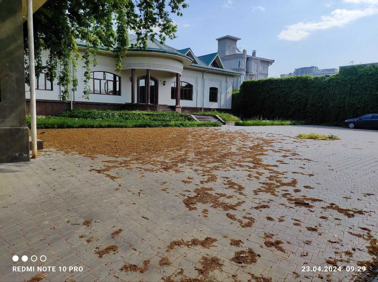 Продается нежилое здание в Лабзаке Ng9134
