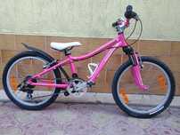 Specialized Hotrock 20 цола