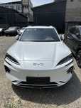 BYDsong plus 2025 restayling (optom narxlarda]