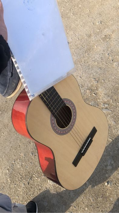 Продам тусегу болады багасы