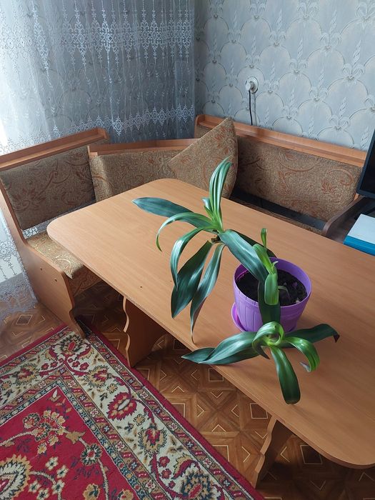 Продам  стол обеденный