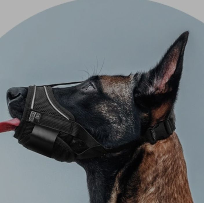 Botnita cu chinga reglabila