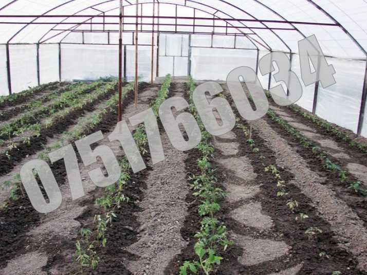 Plantator Cultivator Manual Rasaduri Bulbi Seminte Legume Fructe 2.8cm