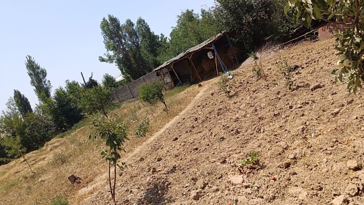 Uchaska soiladi 6 sotx