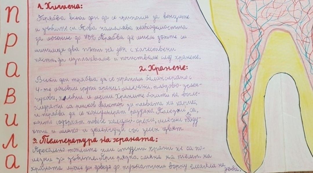 Учебници, тетрадки, помагала и атласи за 4. и 5. клас + проект