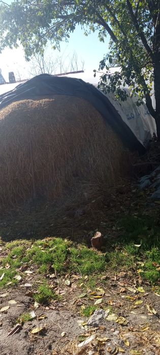 Vând fân amestecat cu lucerna