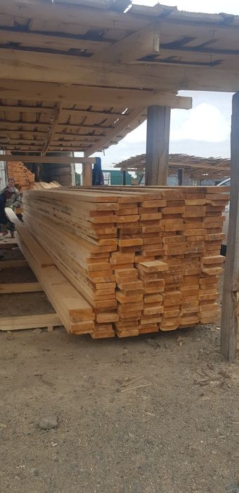 Сосна 50×200×6 метров