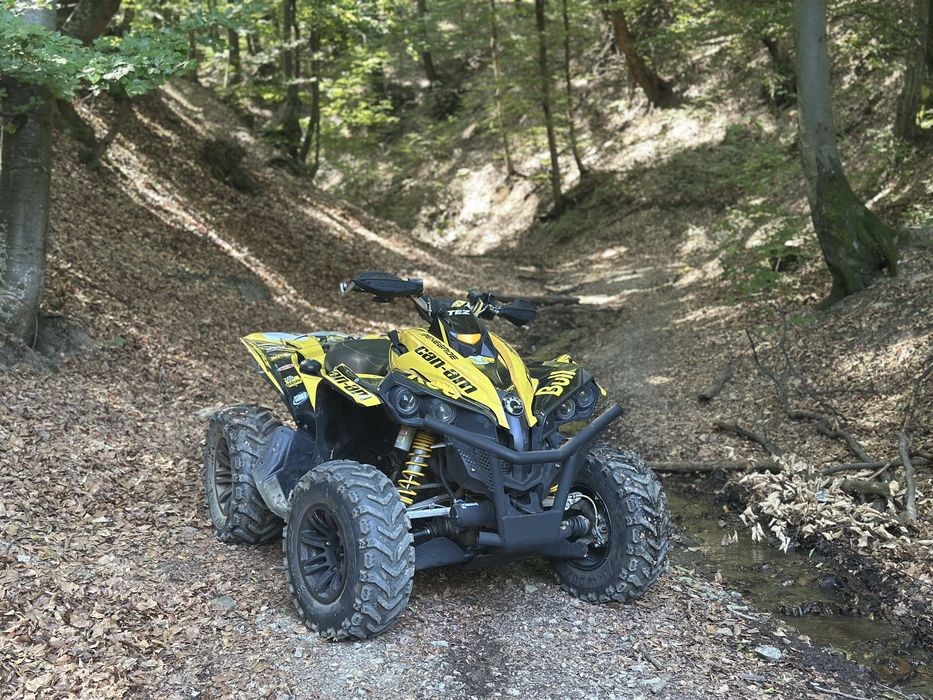 Can Am Renegade 2010 800cc Servo