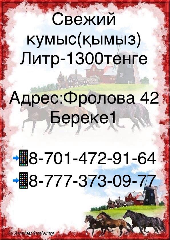 Кымыз (Кумыс ) г.Костанай