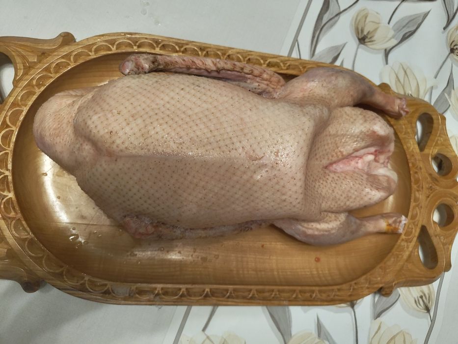 Гуси и утки домашние