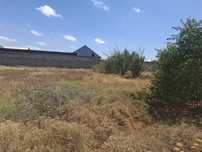 Продам участок 18 соток Сайрам Абдулабад