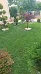 Amenajări grădini sisteme de irigare profesionale Plante ornamentale