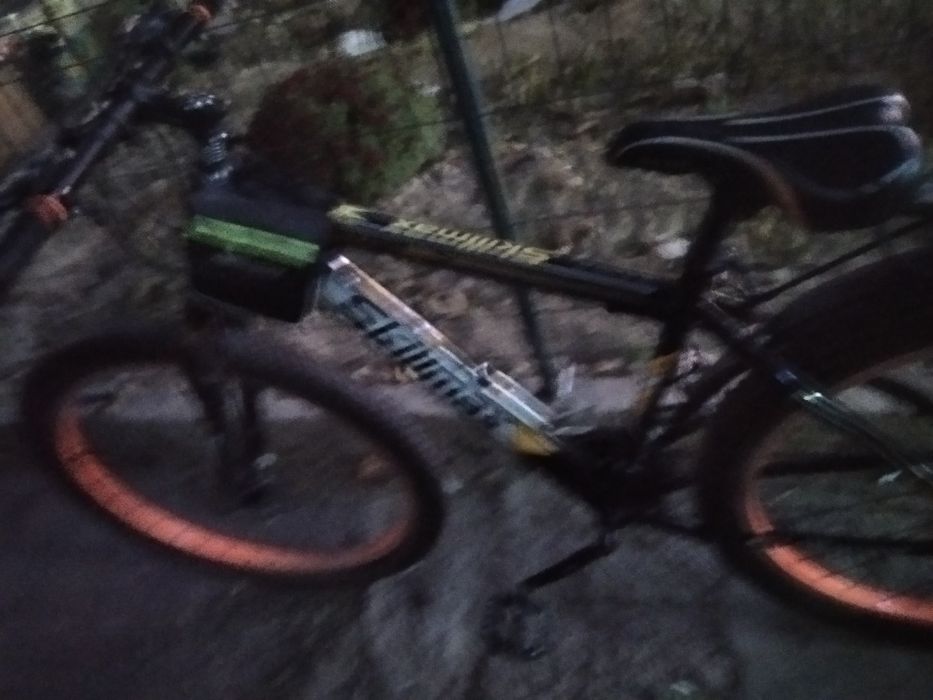 Velosiped holati